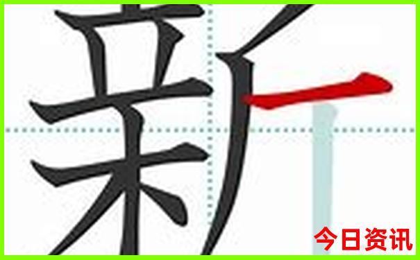 新澳门今晚上开什么
